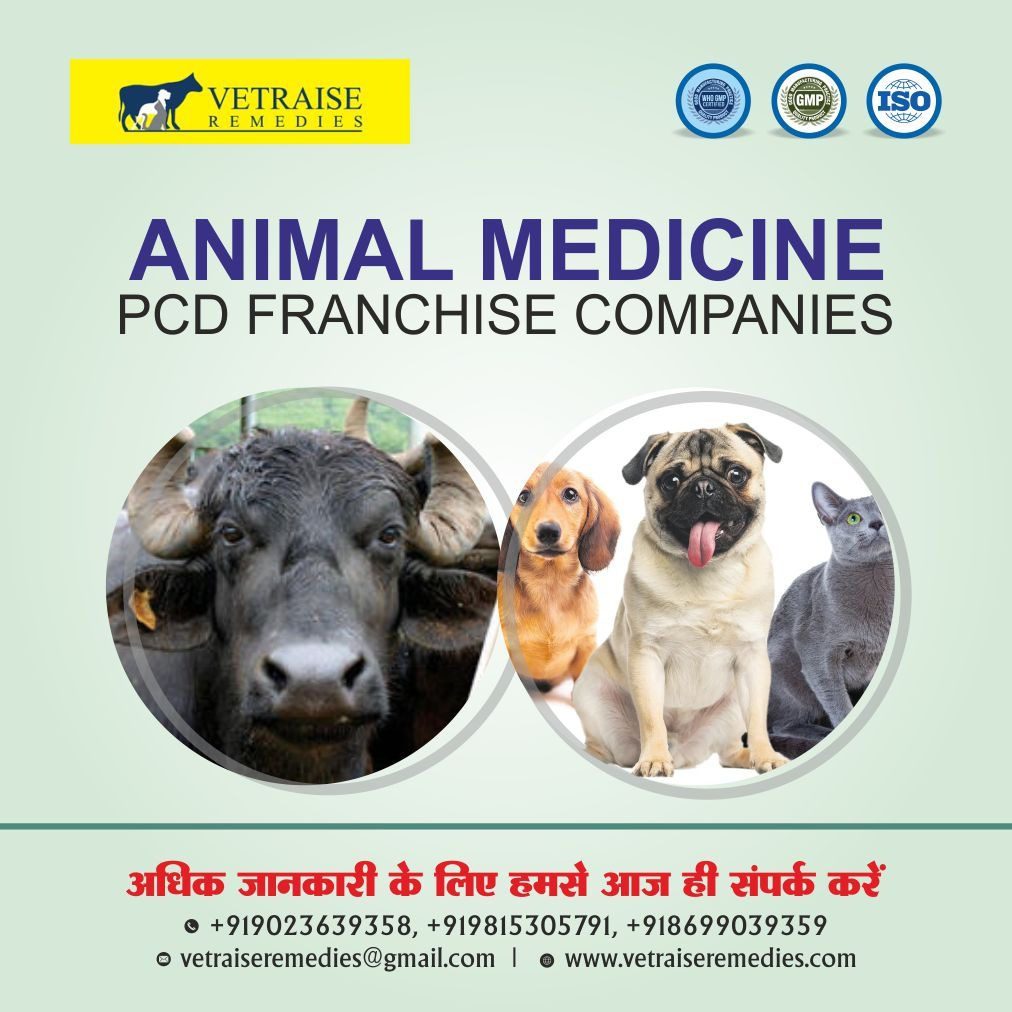 Veterinary PCD Franchise Company in Telangana Veterinary PCD Franchise Company in Telangana