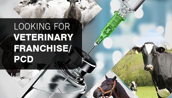 Veterinary PCD