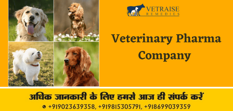 Veterinary Medicine Distributors in India