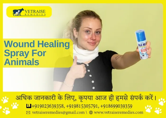 Wound Healing Spray For Animals (1)