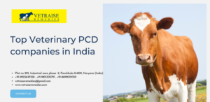 Veterinary PCD Pharma Franchise in South India