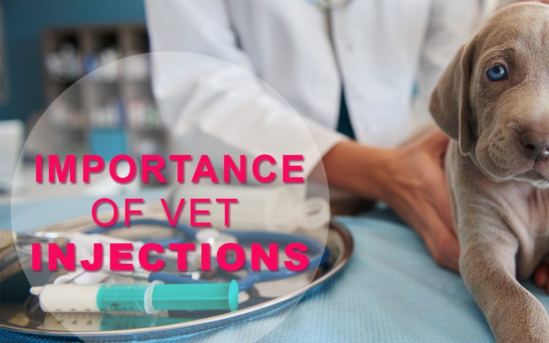 Importance of Vet injections