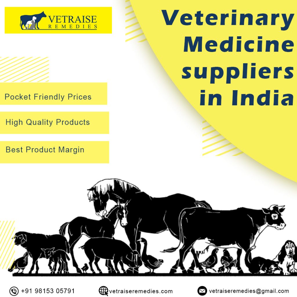 Veterinary PCD Pharma Franchise in Madhya Pradesh