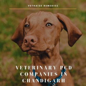 Veterinary Pharma Franchise