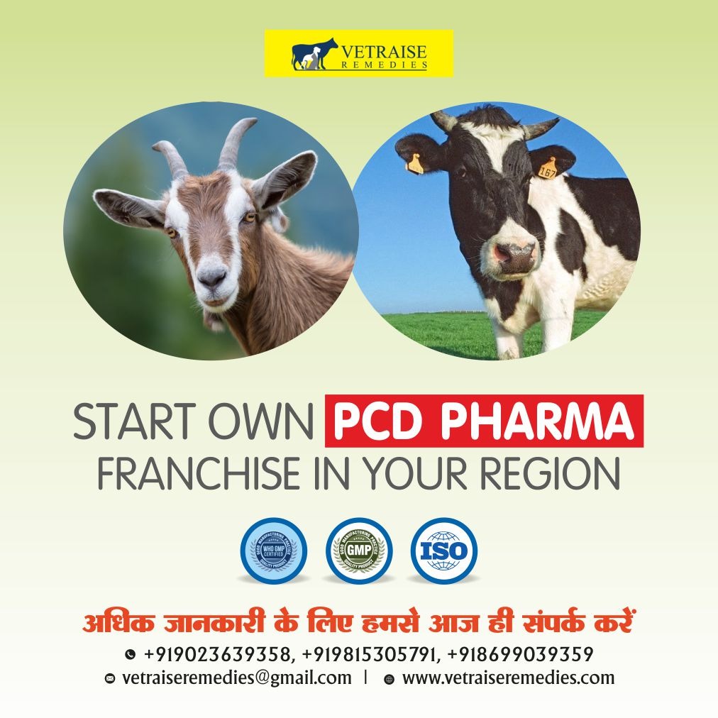 Start Veterinary Pharma Business