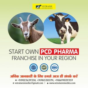 Start Veterinary PCD Pharma Franchise