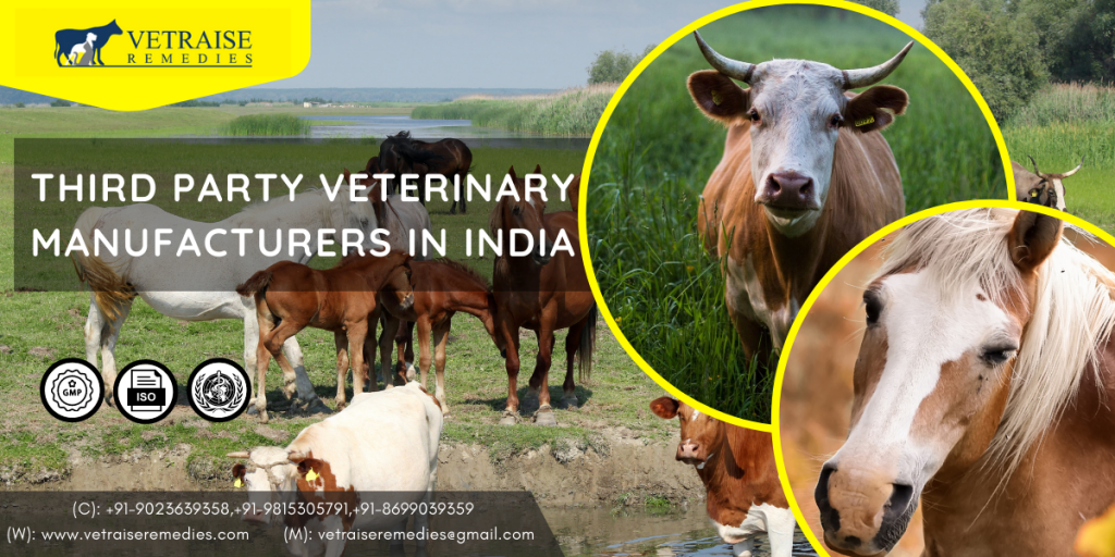 Third party vet manufacturing in India