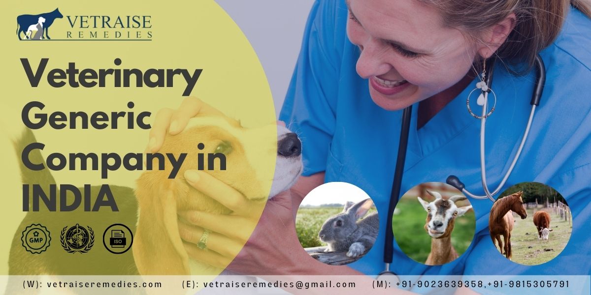 Veterinary Generic Company in India