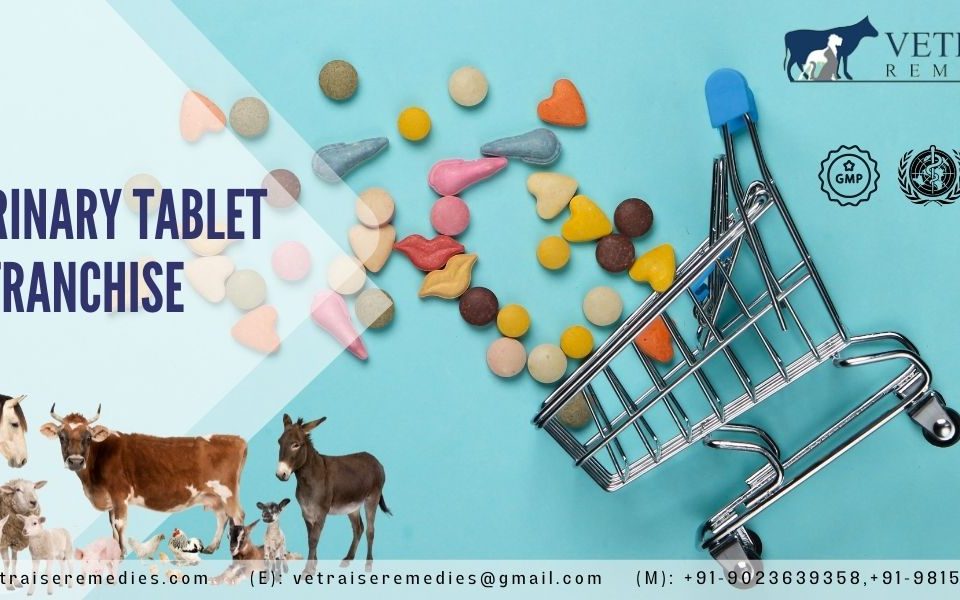 Veterinary Tablet PCD Franchise