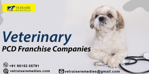 Veterinary PCD franchise company