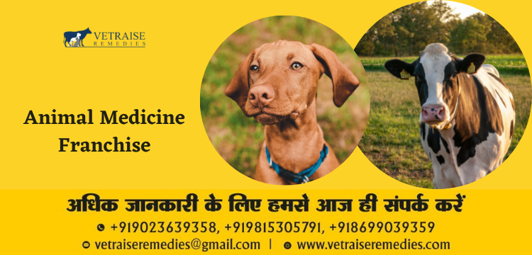 Top Veterinary PCD Pharma Franchise Business Opportunities In India
