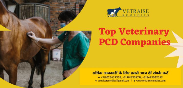 Veterinary PCD Franchise in Mohali