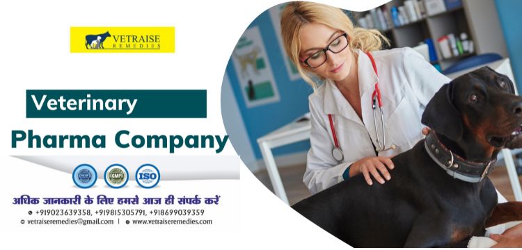 Veterinary Medicine Franchise in Zirakpur