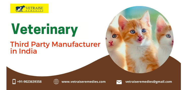 Veterinary Injections Manufacturing Company in India
