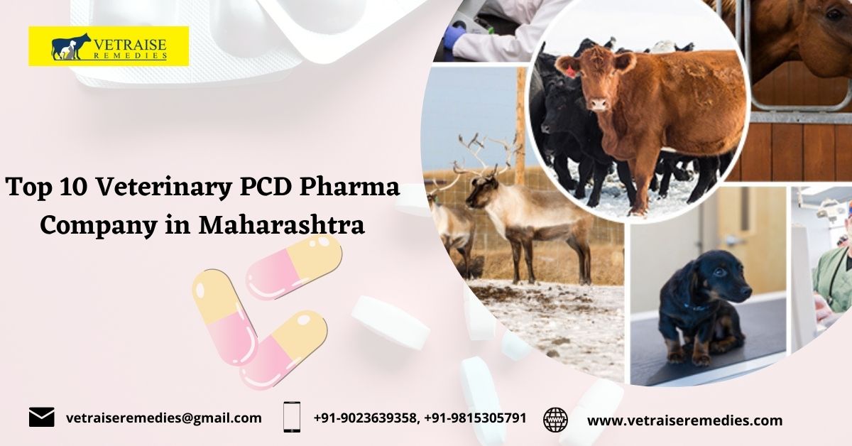 Top 10 Veterinary PCD Pharma Company in Maharashtra | Vetraise