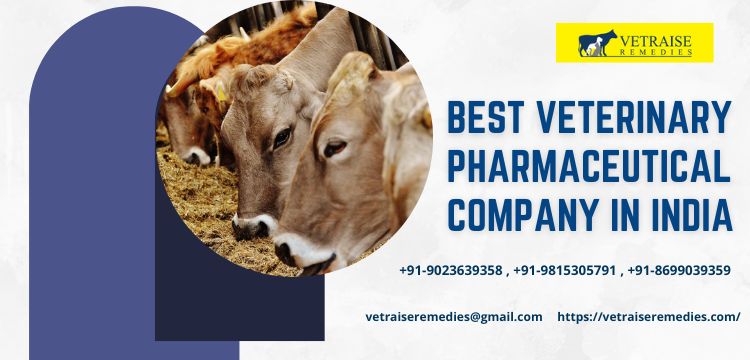 Top Rated Veterinary PCD Franchise companies in India