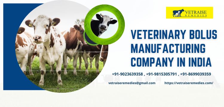 Veterinary PCD Franchise Business
