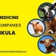 Veterinary Medicine Franchise Companies in Panchkula