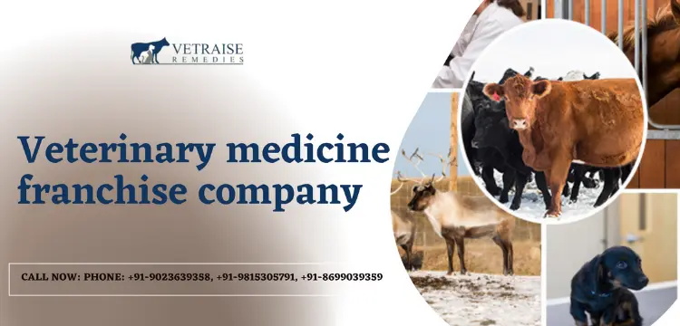 Veterinary medicine franchise company