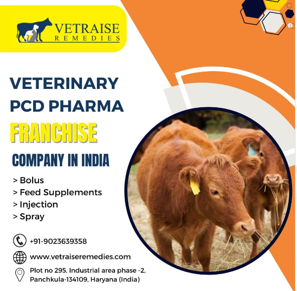 Best Feed Supplement Manufacturers in India