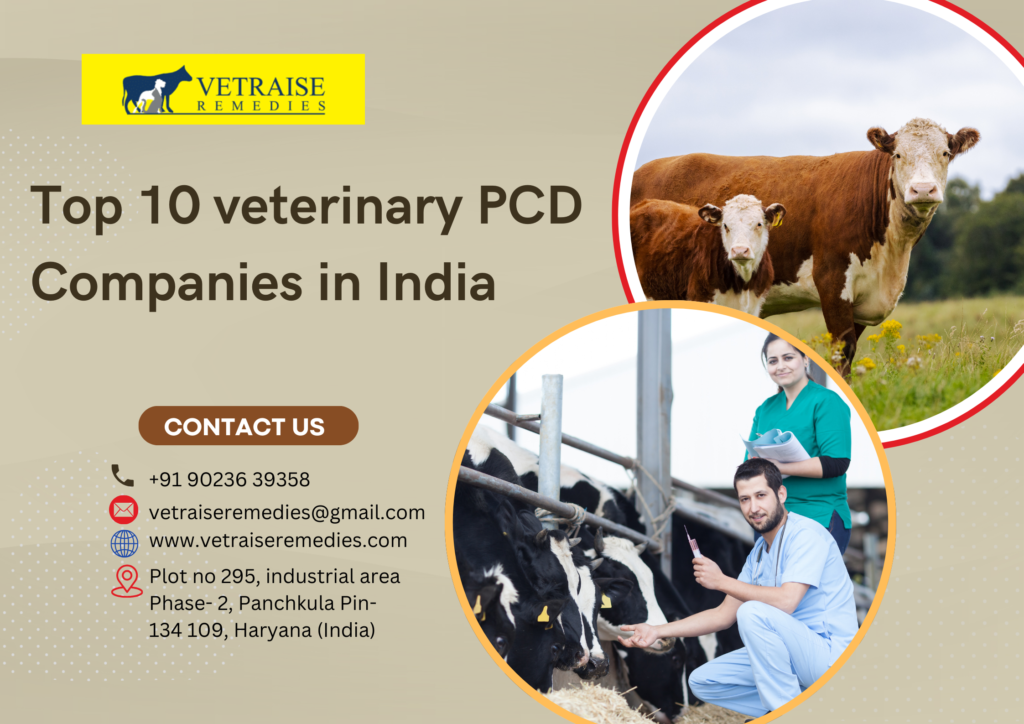 List of Top 10 Veterinary PCD Companies in India