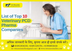 List of Top 10 Veterinary PCD Pharma Companies