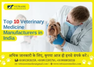 Top 10 Veterinary Medicine Manufacturers in India