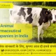 Top Animal Pharmaceutical Companies in India