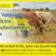 Top veterinary medicine manufacturers in india