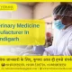 Veterinary Medicine Manufacturer In Chandigarh