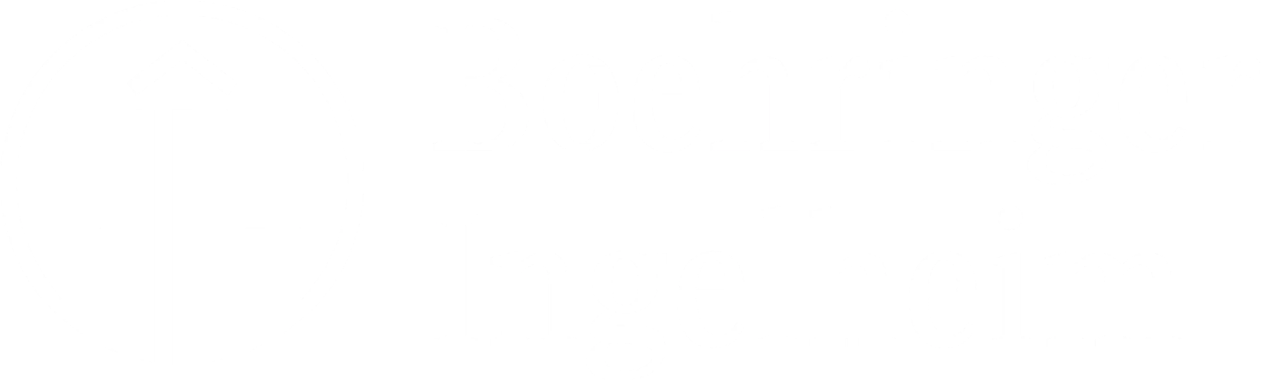 Boehringer Ingelheim