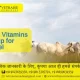 Best Vitamins Syrup for cattel