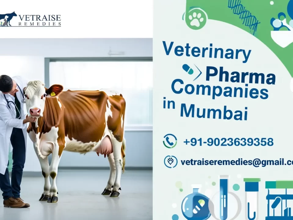 Veterinary Pharma Companies in Mumbai