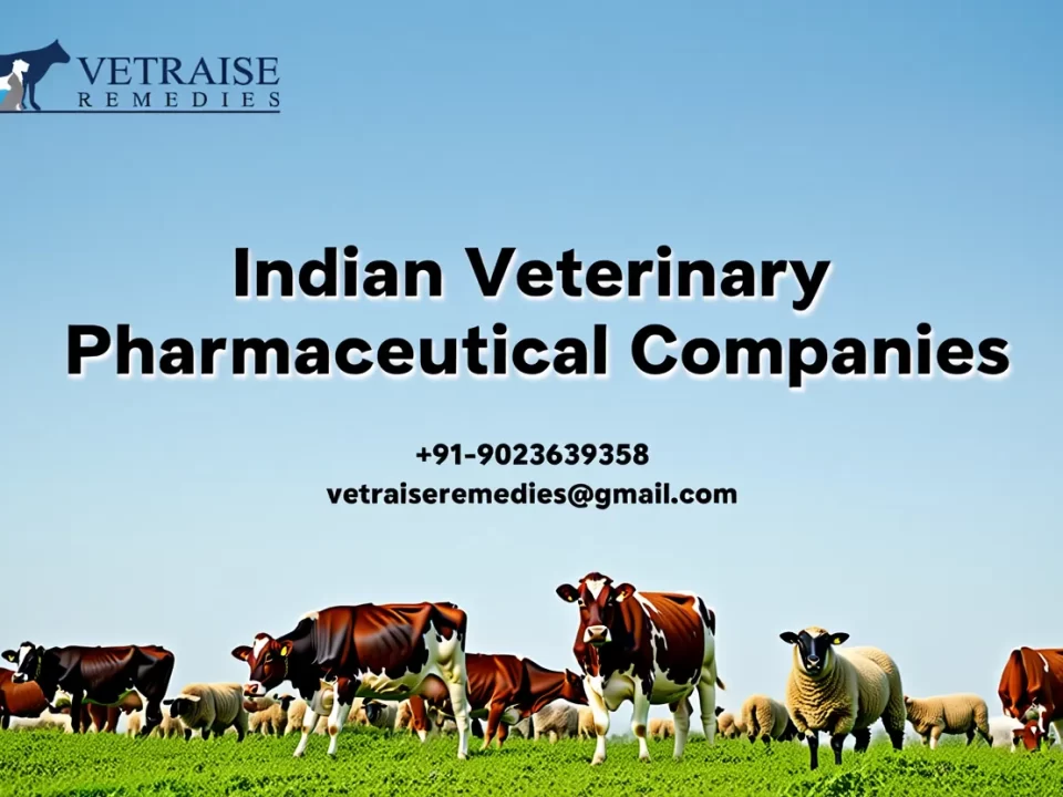 Indian Veterinary Pharmaceutical Companies