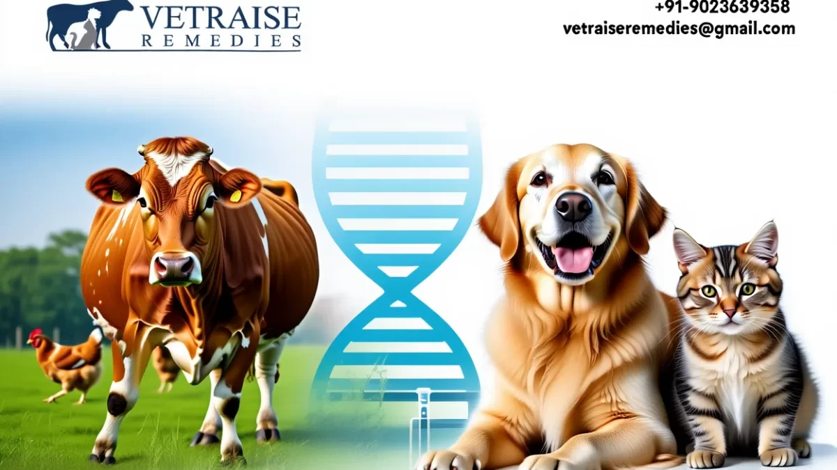 Veterinary Pharmaceutical Manufacturers
