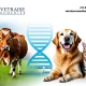 Veterinary Pharmaceutical Manufacturers