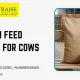 Calcium Feed Supplement for Cows