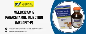 Meloxicam & Paracetamol Injection (MELOFIT-P)