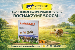 ROCHAKZYME 500GM