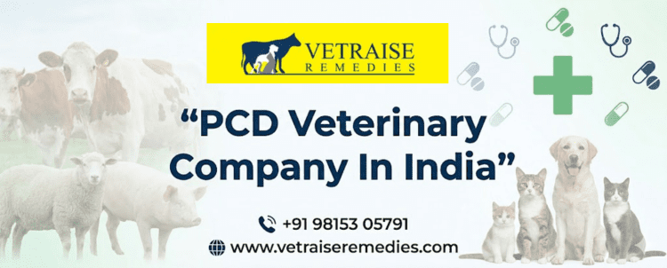 Pcd Veterinary Company In India