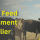Animal Feed Supplement supplier