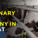 veterinary pcd company in gujarat