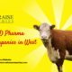Veterinary PCD Pharma Franchise Companies in West Bengal