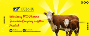 Veterinary PCD Pharma Franchise Company in Uttar Pradesh