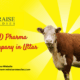 Veterinary PCD Pharma Franchise Company in Uttar Pradesh