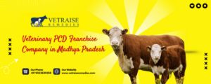 Veterinary PCD Franchise Company in Madhya Pradesh